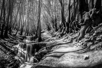 Arman Sultani — Shiraz — Ghalat — original photograph